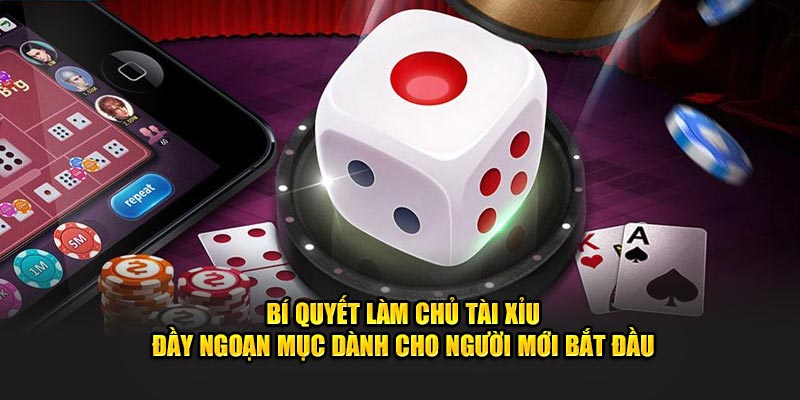 Bí quyết làm chủ tài xỉu đầy ngoạn mục dành cho người mới bắt đầu